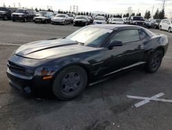 Chevrolet Camaro LS salvage cars for sale: 2013 Chevrolet Camaro LS