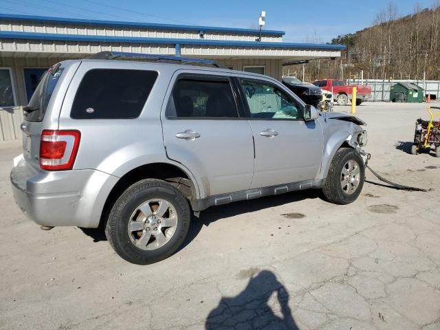 2011 Ford Escape Limited