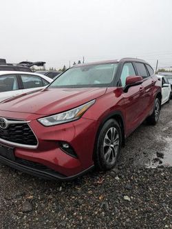 Salvage cars for sale at London, ON auction: 2020 Toyota Highlander XLE