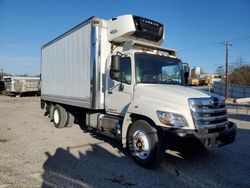 Salvage trucks for sale at Lexington, KY auction: 2013 Hino 258 268