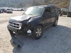 Ford Escape salvage cars for sale: 2011 Ford Escape Limited