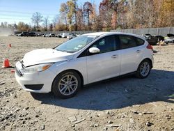 Ford Focus SE salvage cars for sale: 2017 Ford Focus SE