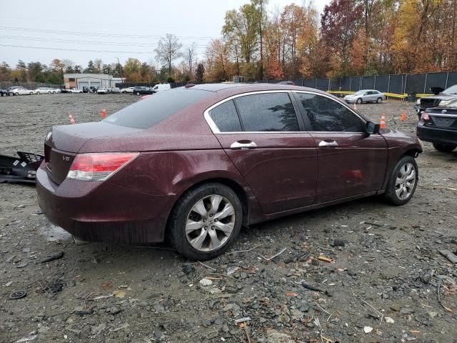 2010 Honda Accord EXL