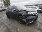 2010 Acura MDX Advance