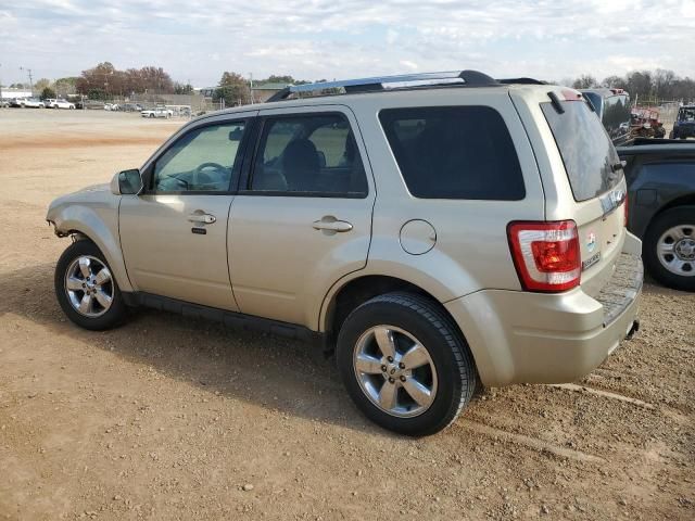 2011 Ford Escape Limited