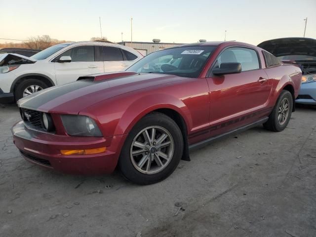 2005 Ford Mustang