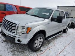 Salvage cars for sale at Wayland, MI auction: 2013 Ford F150 Supercrew