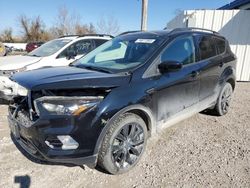 Salvage cars for sale at Cahokia Heights, IL auction: 2018 Ford Escape SE