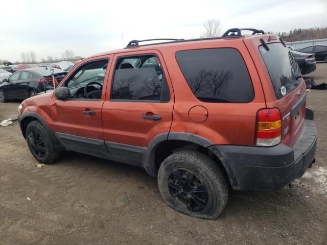 2007 Ford Escape XLT