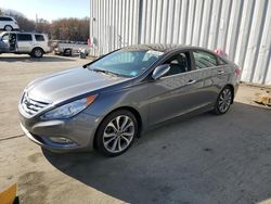 Hyundai Sonata SE salvage cars for sale: 2013 Hyundai Sonata SE