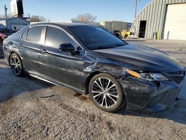 2019 Toyota Camry Hybrid