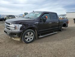 Ford salvage cars for sale: 2019 Ford F150 Supercrew