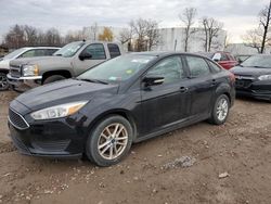 Ford salvage cars for sale: 2016 Ford Focus SE