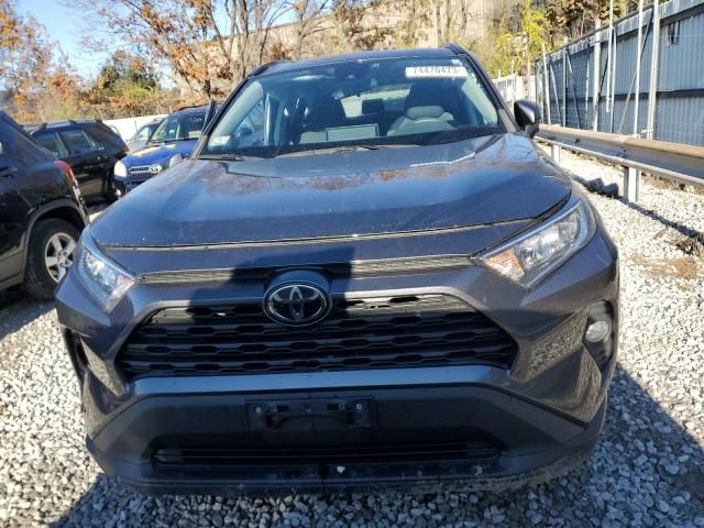 2019 Toyota Rav4 XLE