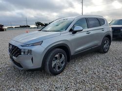 Salvage cars for sale at New Braunfels, TX auction: 2023 Hyundai Santa FE SEL