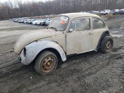 Salvage cars for sale at Finksburg, MD auction: 1974 Volkswagen Beetle