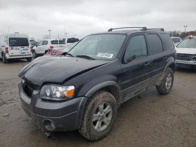 2005 Ford Escape XLT