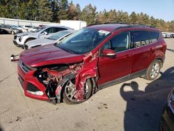 Ford Escape SEL salvage cars for sale: 2013 Ford Escape SEL