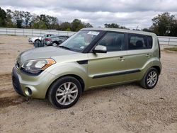 Salvage cars for sale at Theodore, AL auction: 2013 KIA Soul +