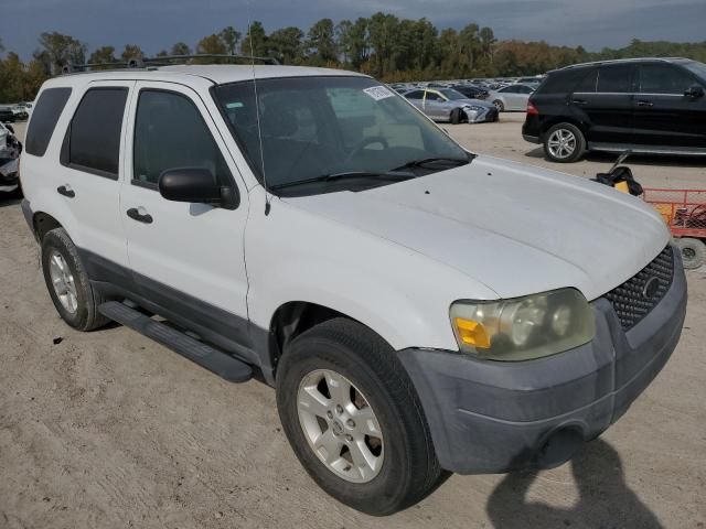 2005 Ford Escape XLT