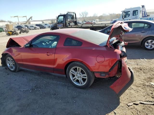 2010 Ford Mustang