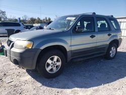 Salvage cars for sale at Walton, KY auction: 2005 Ford Escape XLS