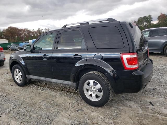 2010 Ford Escape Limited