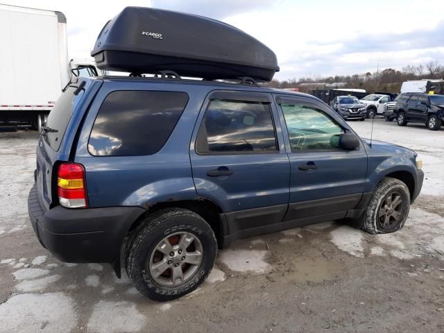 2006 Ford Escape XLT