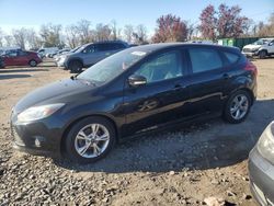 Ford Focus SE salvage cars for sale: 2014 Ford Focus SE