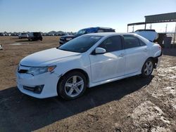 Salvage cars for sale at Houston, TX auction: 2012 Toyota Camry Base