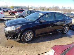 Salvage cars for sale at Louisville, KY auction: 2019 Hyundai Sonata SE