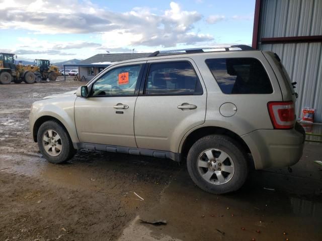 2012 Ford Escape Limited