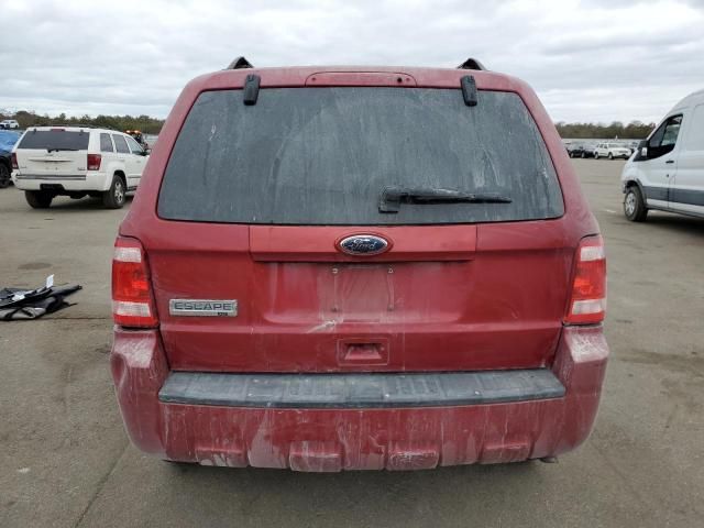 2010 Ford Escape XLT