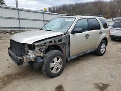 Salvage cars for sale at West Mifflin, PA auction: 2012 Ford Escape XLT