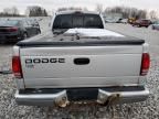 2002 Dodge Dakota SLT