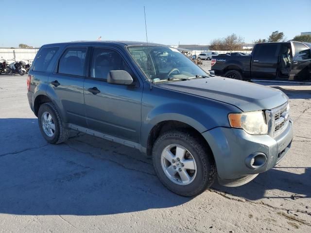 2010 Ford Escape XLS