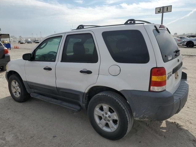 2005 Ford Escape XLT