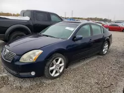 Salvage cars for sale from Copart Memphis, TN: 2004 Nissan Maxima SE