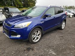 Salvage cars for sale from Copart Kapolei, HI: 2014 Ford Escape Titanium