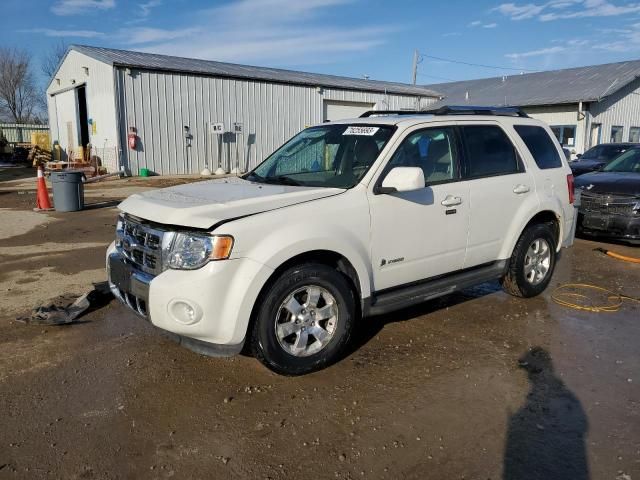 2010 Ford Escape Hybrid