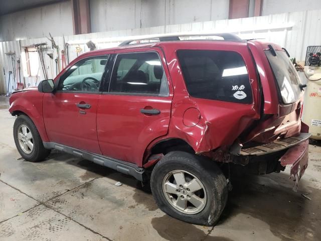 2011 Ford Escape XLT