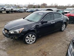 Honda salvage cars for sale: 2008 Honda Accord EXL