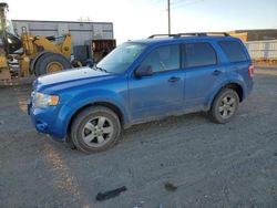 Vehiculos salvage en venta de Copart Bismarck, ND: 2011 Ford Escape XLT