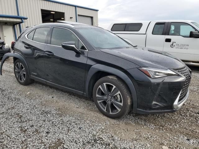 2020 Lexus UX 250H