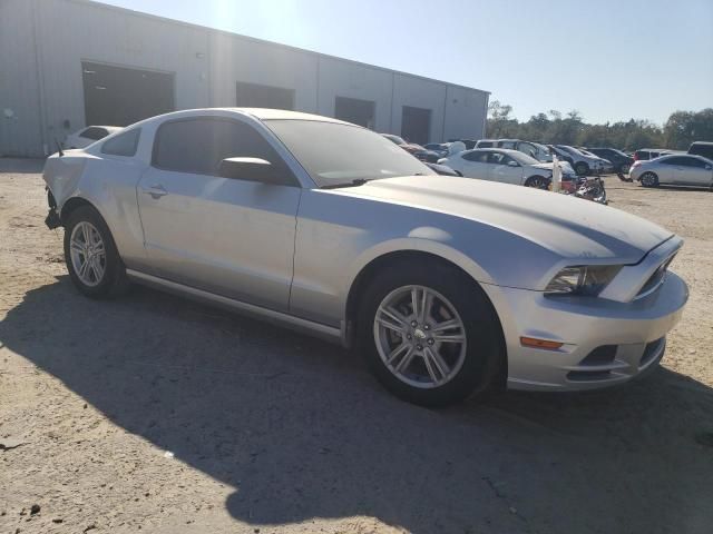 2013 Ford Mustang