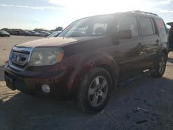 Vehiculos salvage en venta de Copart San Antonio, TX: 2011 Honda Pilot EXL