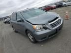 2010 Honda Odyssey EX