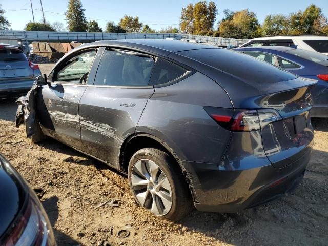 2020 Tesla Model Y