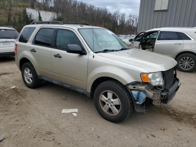 2012 Ford Escape XLT