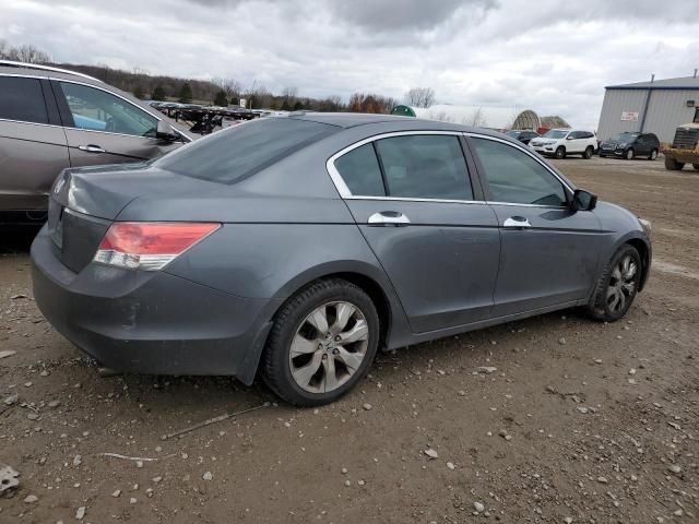 2010 Honda Accord EXL